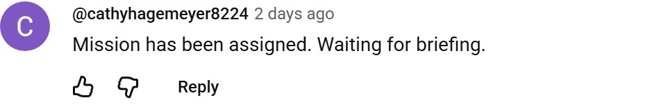 Real YouTube comment