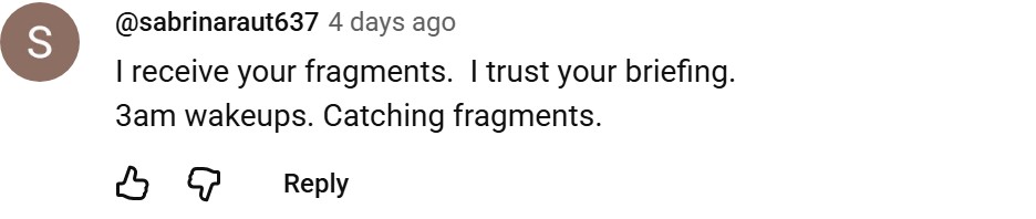 Real YouTube comment