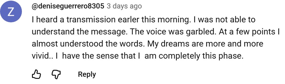 Real YouTube comment