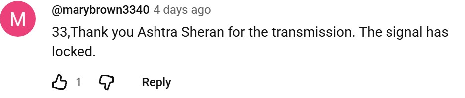Real YouTube comment